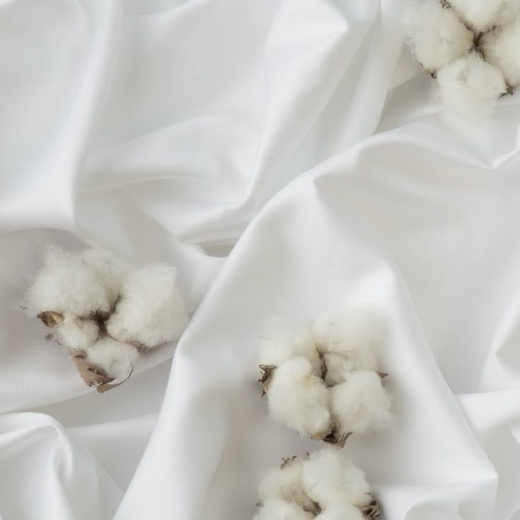 ORGANIC COTTON (WOVEN) FABRIC